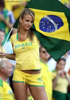 Brazil World Cup Soccer Fan